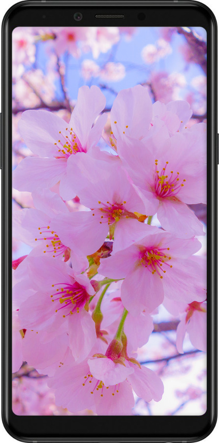 Силіконовий чехол Сакура для Samsung Galaxy A6s - 6029u-1604 изображение 