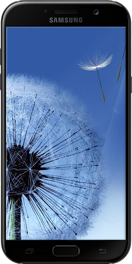 2D пластиковый чехол Одуванчик для Samsung Galaxy A7 (2017) - 6005t-445 изображение 