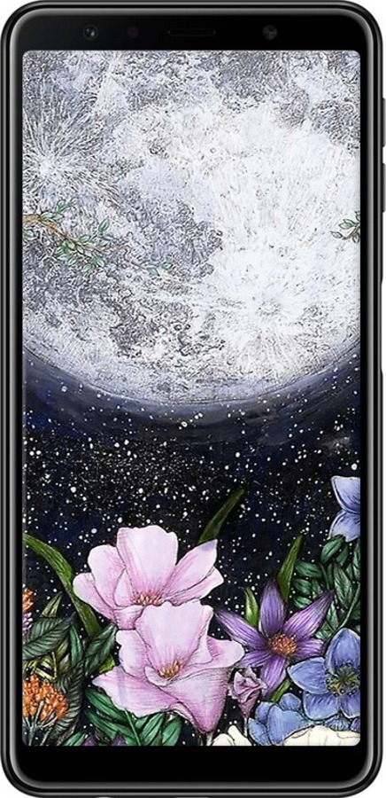 TPU чехол Полночь в саду для Samsung Galaxy A7 (2018) A750F - 6259b-1582 изображение 