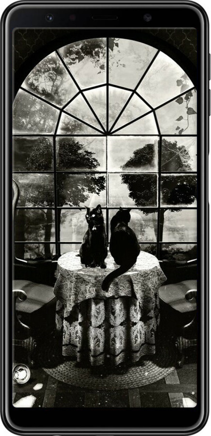 TPU чехол Череп та коти для Samsung Galaxy A7 (2018) A750F - 6432b-1582 изображение 