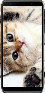 3D пластиковый матовый чехол Котик для Samsung Galaxy A7 (2018) A750F - 6024m-1582 изображение 
