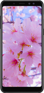 TPU чехол Сакура для Samsung Galaxy A8 2018 A530F - 6029b-1344 изображение 