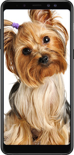 TPU чехол Йоркширский терьер с хвостиком для Samsung Galaxy A8 Plus 2018 A730F - 930b-1345 изображение 
