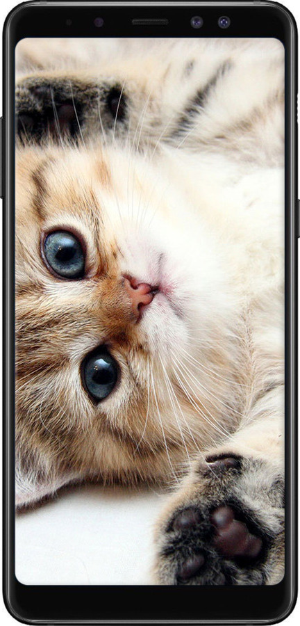 TPU чехол Котик для Samsung Galaxy A8 Plus 2018 A730F - 6024b-1345 изображение 