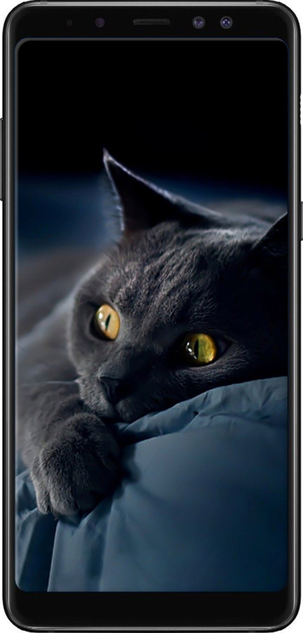 TPU чехол Дымчатый кот для Samsung Galaxy A8 Plus 2018 A730F - 825b-1345 изображение 