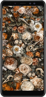 2D пластиковий чехол У стилі бароко-похмурий для Samsung Galaxy A8 Plus 2018 A730F - 6404t-1345 изображение 