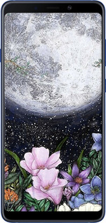 TPU чехол Полночь в саду для Samsung Galaxy A9 (2018) - 6259b-1503 изображение 