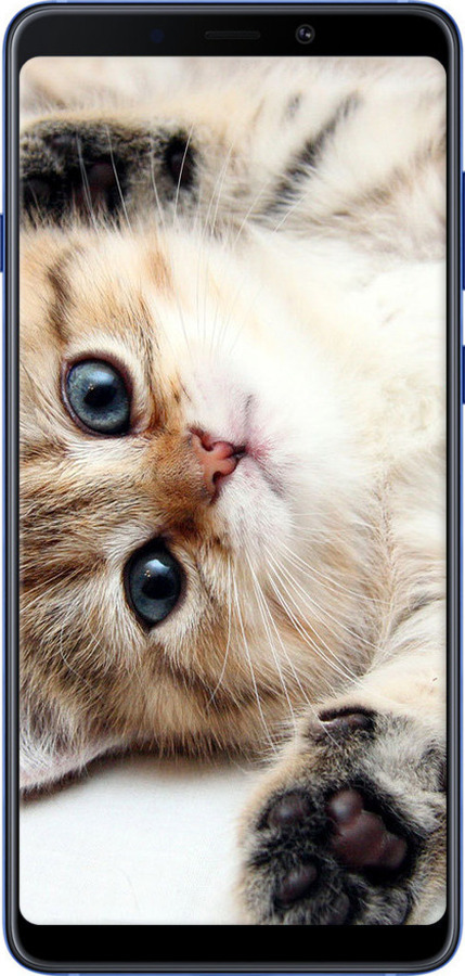 TPU чехол Котик для Samsung Galaxy A9 (2018) - 6024b-1503 изображение 