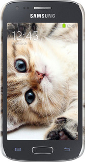 3D пластиковый глянцевый чехол Котик для Samsung Galaxy Ace 3 Duos s7272 - 6024c-33 изображение 