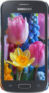 3D пластиковый глянцевый чехол Весенние цветы для Samsung Galaxy Ace 3 Duos s7272 - 6058c-33 изображение 