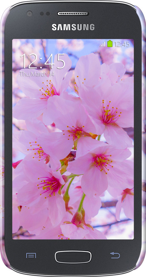 3D пластиковый глянцевый чехол Сакура для Samsung Galaxy Ace 3 Duos s7272 - 6029c-33 изображение 