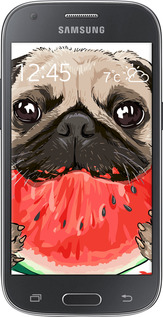 Силіконовий чехол Мопс і кавун для Samsung Galaxy Ace Style G357 - 4665u-1110 изображение 