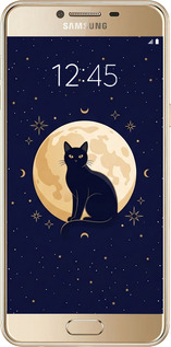 2D пластиковий чехол Cute Cat Celestial/Witchy для Samsung Galaxy C5 C5000 - 6787t-301 изображение 