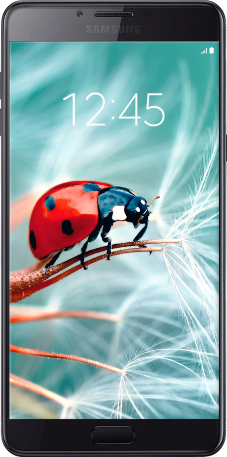 Силиконовый чехол Божья коровка для Samsung Galaxy C9 Pro - 6049u-720 изображение 