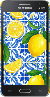 3D пластиковий матовий чехол Grocery Girl Italian Summer для Samsung Galaxy Core 2 G355 - 6766m-75 изображение 