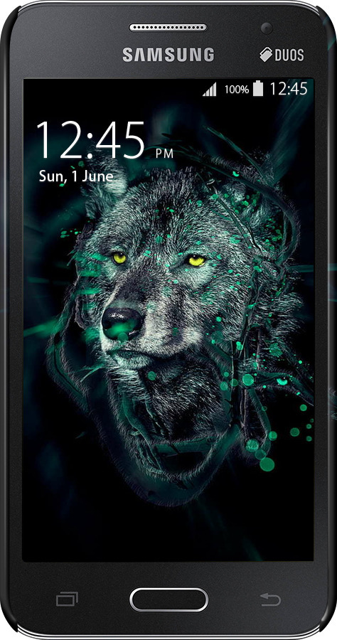 3D пластиковый глянцевый чехол Wolf для Samsung Galaxy Core 2 G355 - 6610c-75 изображение 