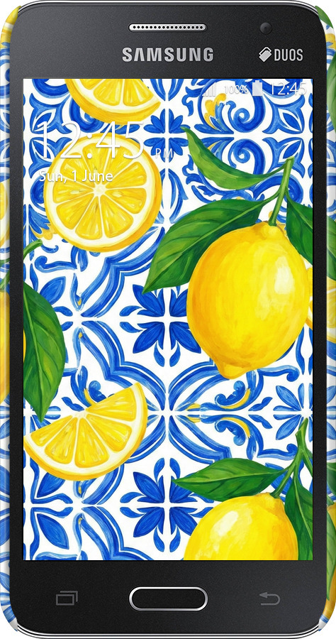 3D пластиковий матовий чехол Grocery Girl Italian Summer для Samsung Galaxy Core 2 G355 - 6766m-75 изображение 