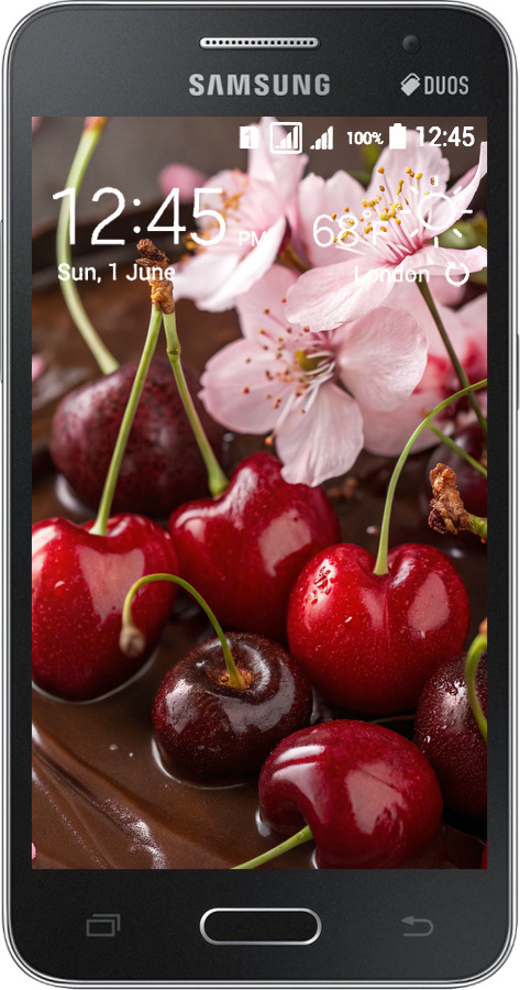 Силіконовий чехол Вишня у шоколаді для Samsung Galaxy Core 2 G355 - 6698u-75 изображение 
