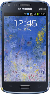 3D пластиковый глянцевый чехол Билокур для Samsung Galaxy Core i8262 - 5908c-88 изображение 
