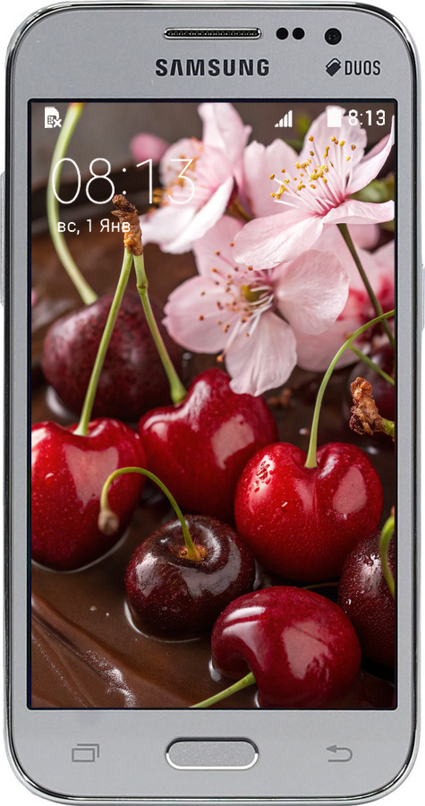 Силиконовый чехол Вишня в шоколаде для Samsung Galaxy Core Prime G360H - 6698u-76 изображение 