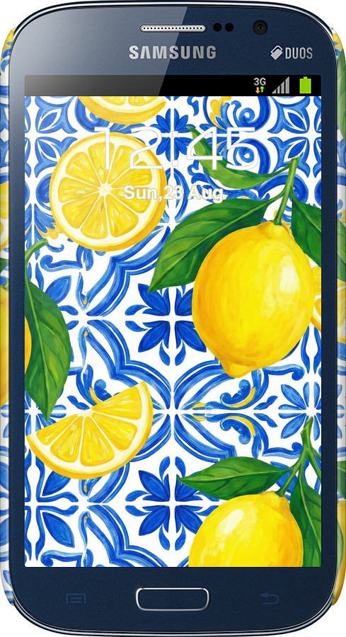 3D пластиковый матовый чехол Grocery Girl Italian Summer для Samsung Galaxy Grand Neo I9060 - 6766m-112 изображение 