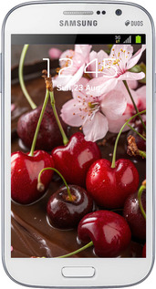 Силиконовый чехол Вишня в шоколаде для Samsung Galaxy Grand I9082 - 6698u-66 изображение 