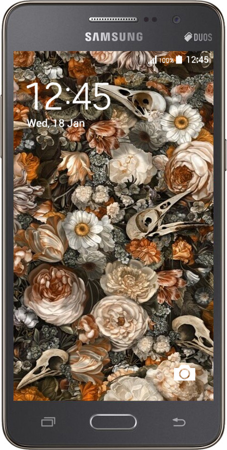 2D пластиковый чехол В стиле барокко-мрачный для Samsung Galaxy Grand Prime G530H - 6404t-74 изображение 