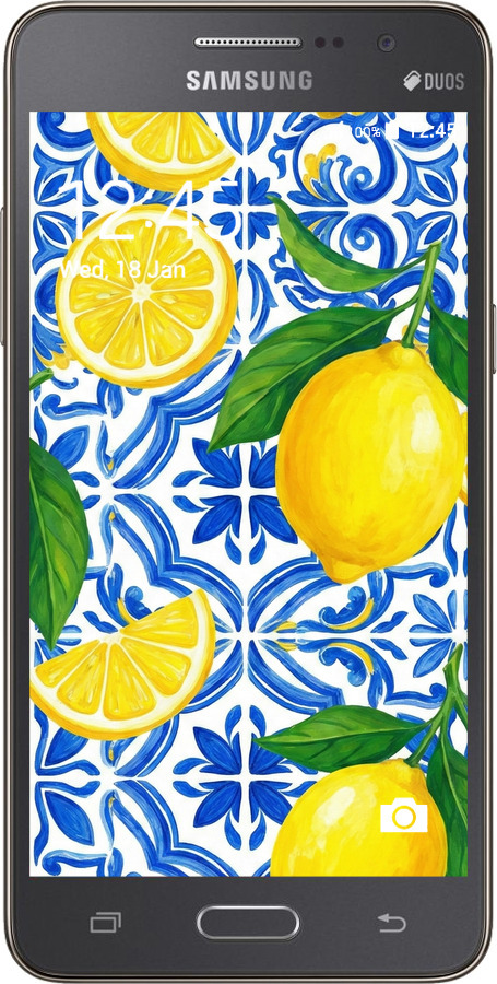 2D пластиковий чехол Grocery Girl Italian Summer для Samsung Galaxy Grand Prime G530H - 6766t-74 изображение 