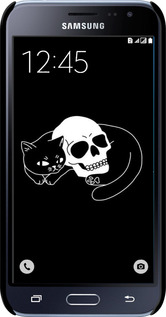 3D пластиковий глянцевий чехол Із зображенням кота та черепа для Samsung Galaxy J1 (2016) Duos J120H - 6491c-262 изображение 