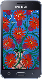 2D пластиковый чехол Примаченко для Samsung Galaxy J1 (2016) Duos J120H - 5909t-262 изображение 