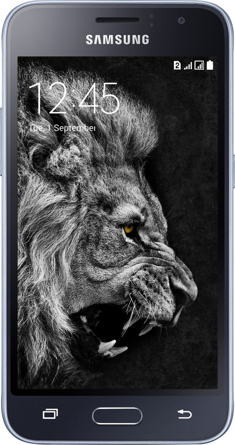2D пластиковый чехол Лев для Samsung Galaxy J1 (2016) Duos J120H - 1080t-262 изображение 