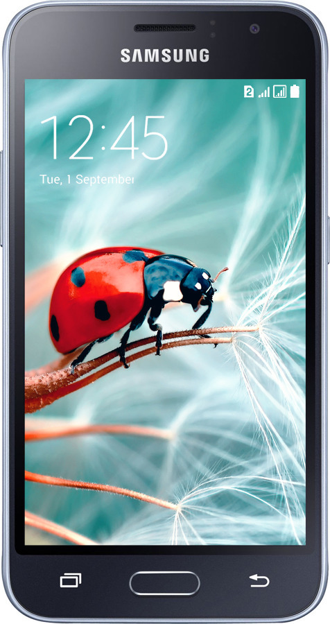 2D пластиковый чехол Божья коровка для Samsung Galaxy J1 (2016) Duos J120H - 6049t-262 изображение 