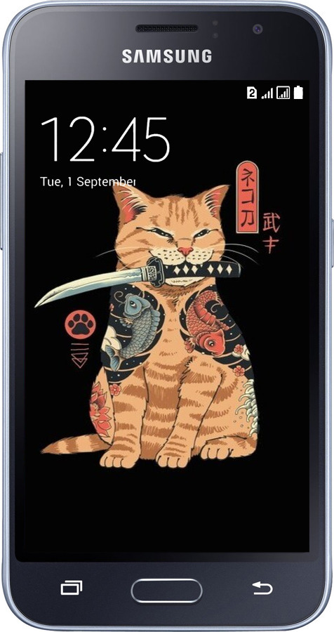 2D пластиковый чехол Catana для Samsung Galaxy J1 (2016) Duos J120H - 6262t-262 изображение 