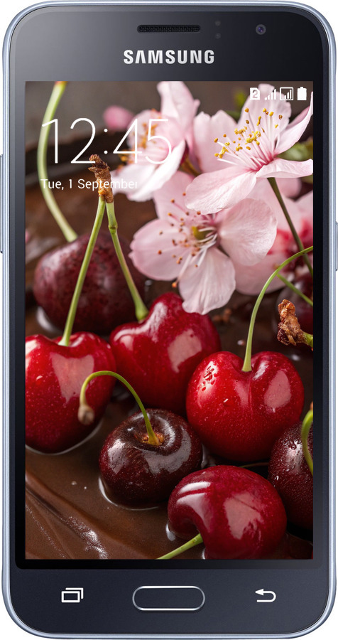 Силиконовый чехол Вишня в шоколаде для Samsung Galaxy J1 (2016) Duos J120H - 6698u-262 изображение 