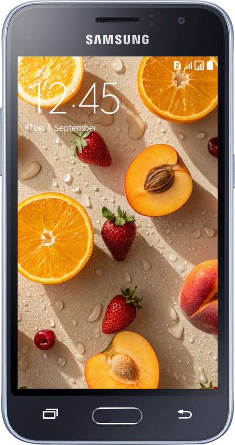 2D пластиковый чехол Фрукты 3 для Samsung Galaxy J1 (2016) Duos J120H - 6703t-262 изображение 