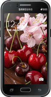 2D пластиковий чехол Вишня у шоколаді для Samsung Galaxy J1 J100H - 6698t-104 изображение 