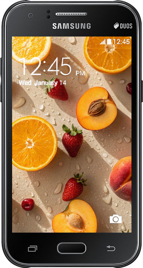 2D пластиковий чехол Фрукти 3 для Samsung Galaxy J1 J100H - 6703t-104 изображение 