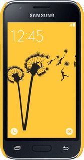 3D пластиковый матовый чехол Минимализм одуванчики для Samsung Galaxy J1 Mini J105H - 6449m-258 изображение 