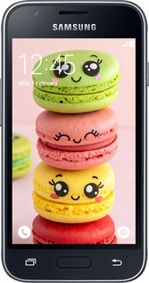 2D пластиковий чехол Печиво для Samsung Galaxy J1 Mini J105H - 6693t-258 изображение 