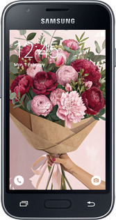 Силиконовый чехол Пионы 1 для Samsung Galaxy J1 Mini J105H - 6705u-258 изображение 
