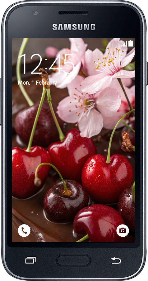 2D пластиковий чехол Вишня у шоколаді для Samsung Galaxy J1 Mini J105H - 6698t-258 изображение 