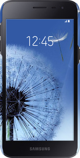 3D пластиковый матовый чехол Одуванчик для Samsung Galaxy J2 Core - 6005m-1565 изображение 