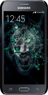 3D пластиковый глянцевый чехол Wolf для Samsung Galaxy J2 J200H - 6610c-190 изображение 