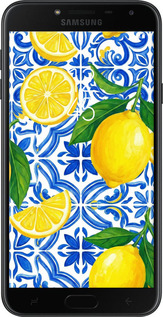 TPU чехол Grocery Girl Italian Summer для Samsung Galaxy J4 2018 - 6766b-1487 изображение 