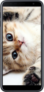 TPU чехол Котик для Samsung Galaxy J4 Plus 2018 - 6024b-1594 изображение 