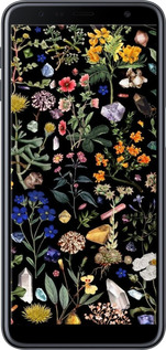 TPU чехол С цветами для Samsung Galaxy J6 Plus 2018 - 6422b-1586 изображение 