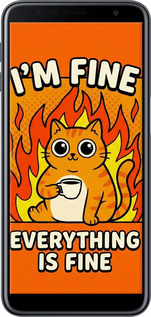 2D пластиковий чехол Funny Cat для Samsung Galaxy J6 Plus 2018 - 6786t-1586 изображение 