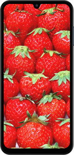 TPU чехол Клубника для Samsung Galaxy M15 - 6020b-3684 изображение 