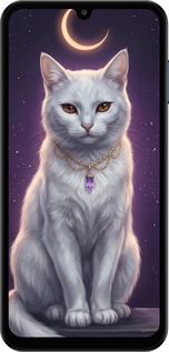 TPU чехол Mystic White Cat Gothic Dark Purple Gold для Samsung Galaxy F15 - 6805b-3756 изображение 