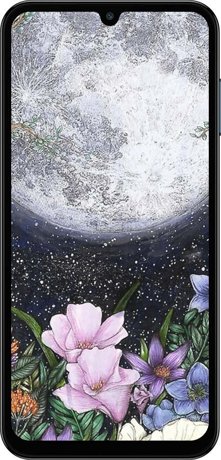 Силиконовый чехол Полночь в саду для Samsung Galaxy M15 - 6259u-3684 изображение 